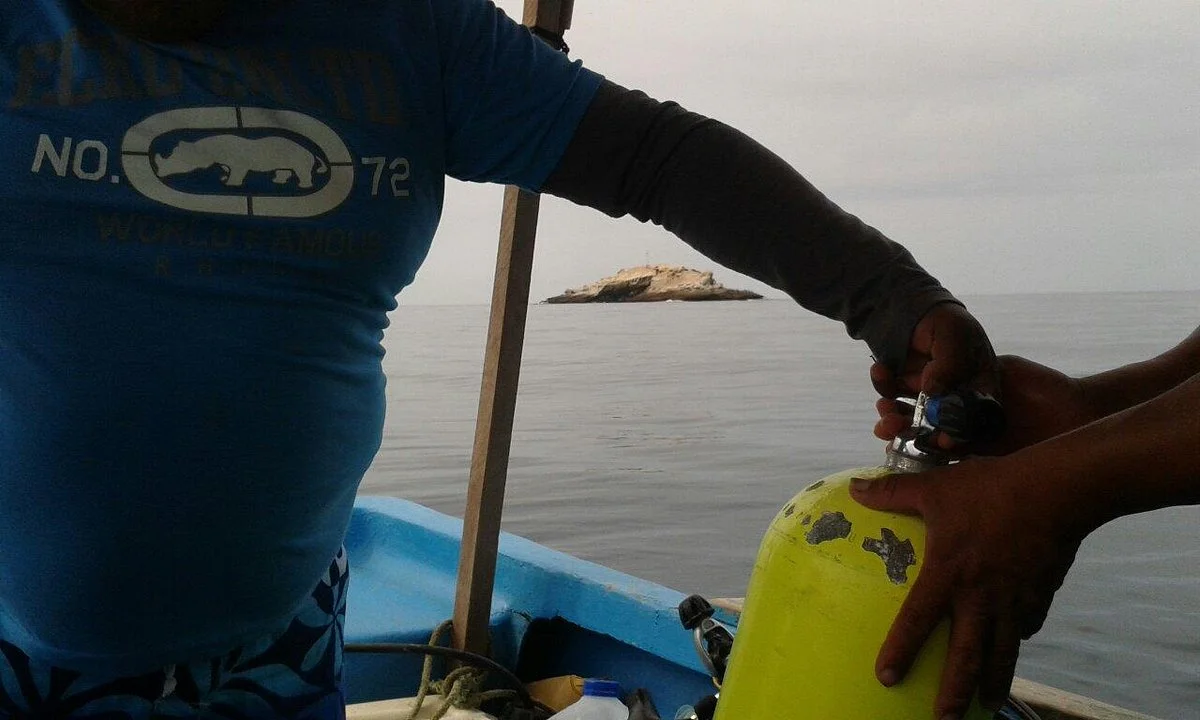 Dive Surf Club