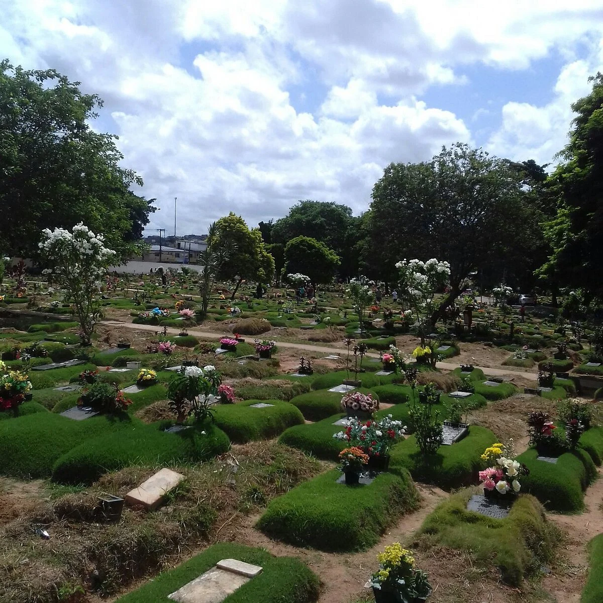 Cemitério Parque Das Flores