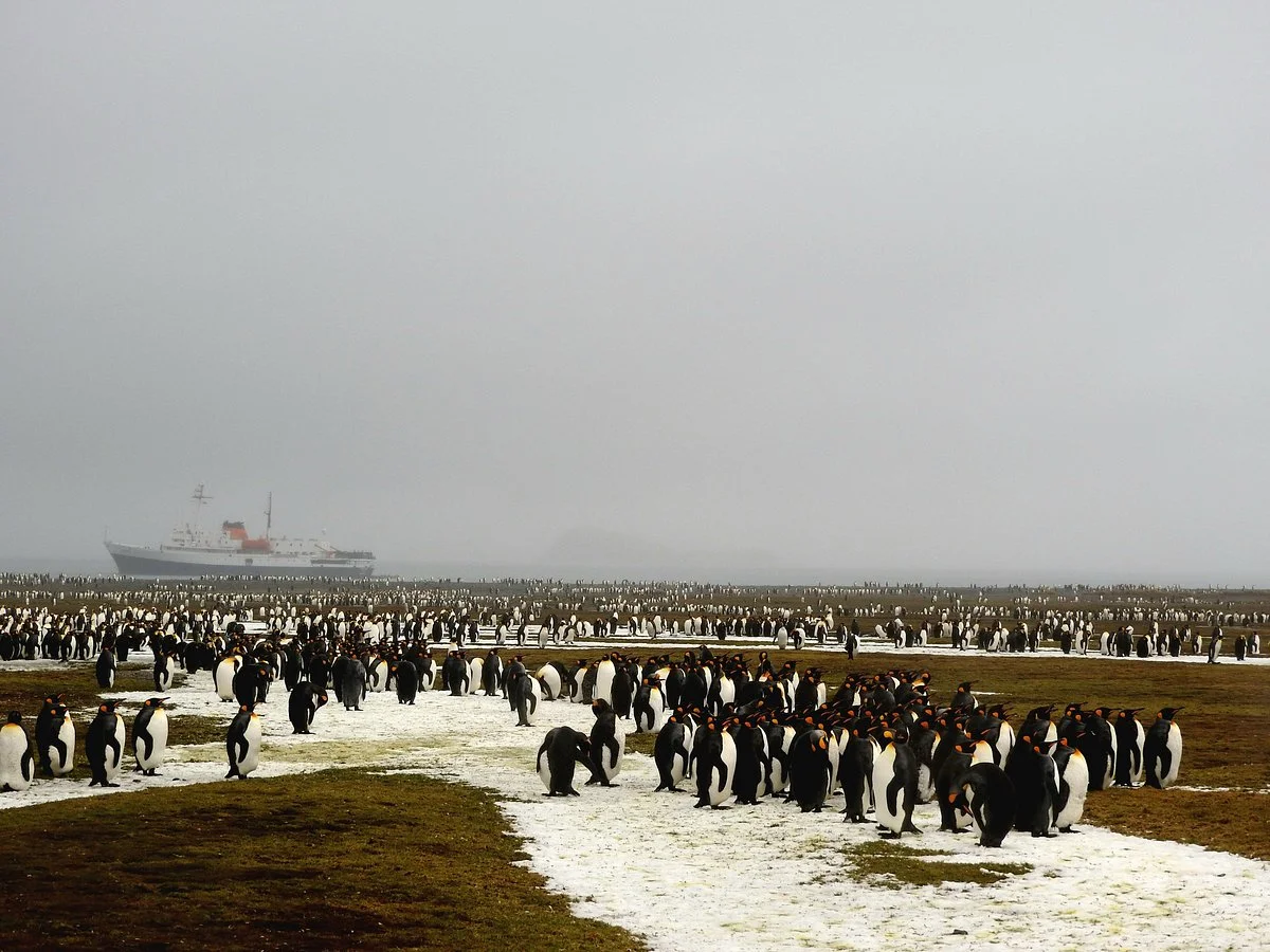 Antarpply Expeditions