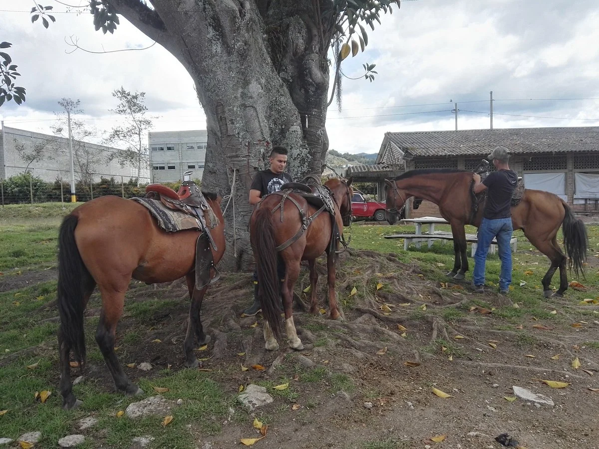 Medellin Turistica - Promotores de Turismo
