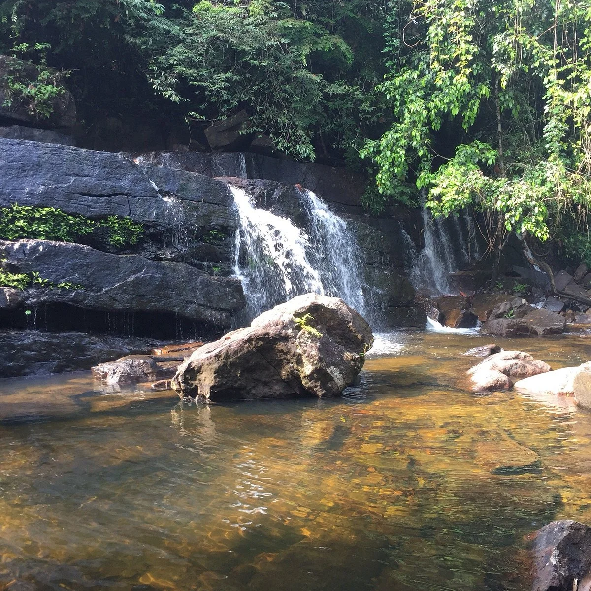 Makandawa Forest Reserve