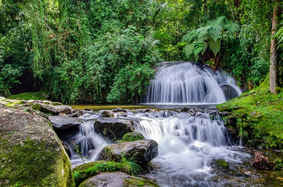 Portal De Turismo Amo Visconde De Mauá