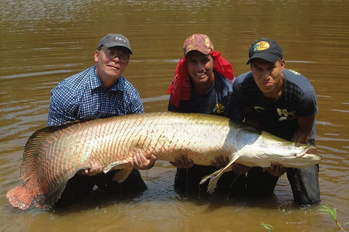 Kingfisher Fishing Tours