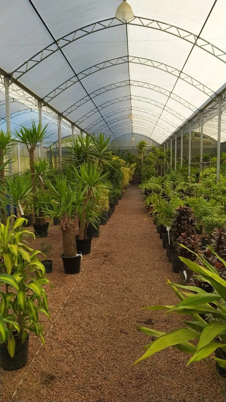 Rossatto Garden Center