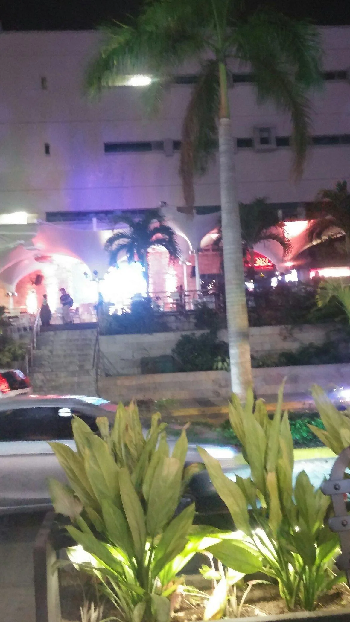 Bambú disco Latina
