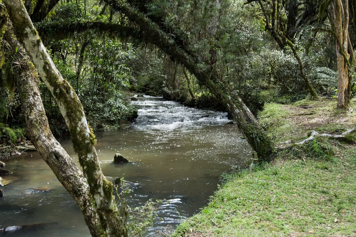 Fonte De Água Azul