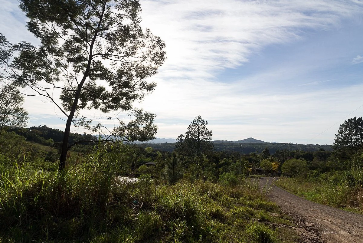 Pico Do Macaco Branco