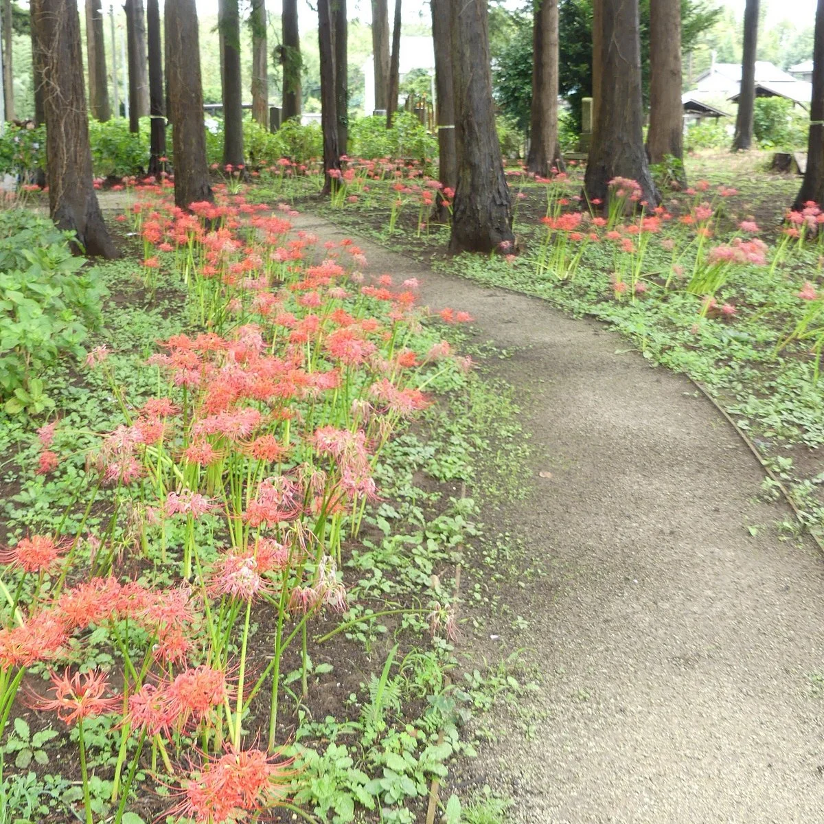 Nichihon-ji Temple