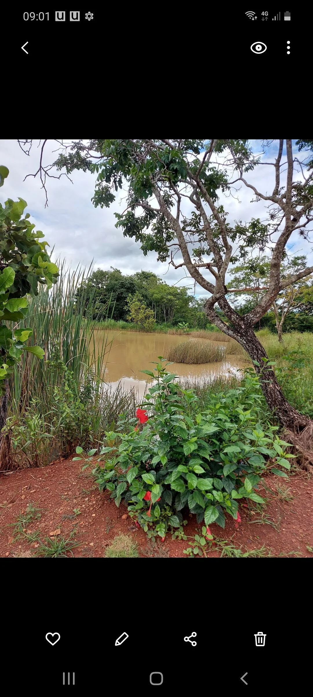 Parque Linear - Zé Do Vale