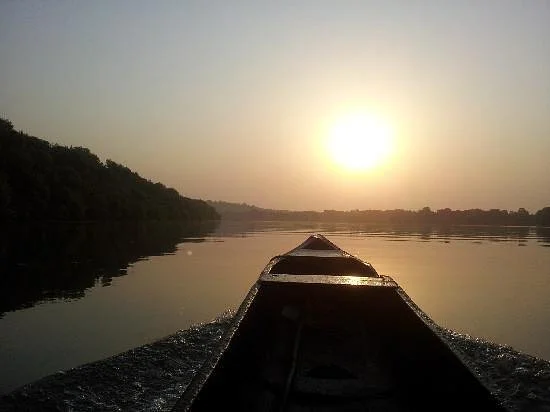 Thattekad Bird Sanctuary