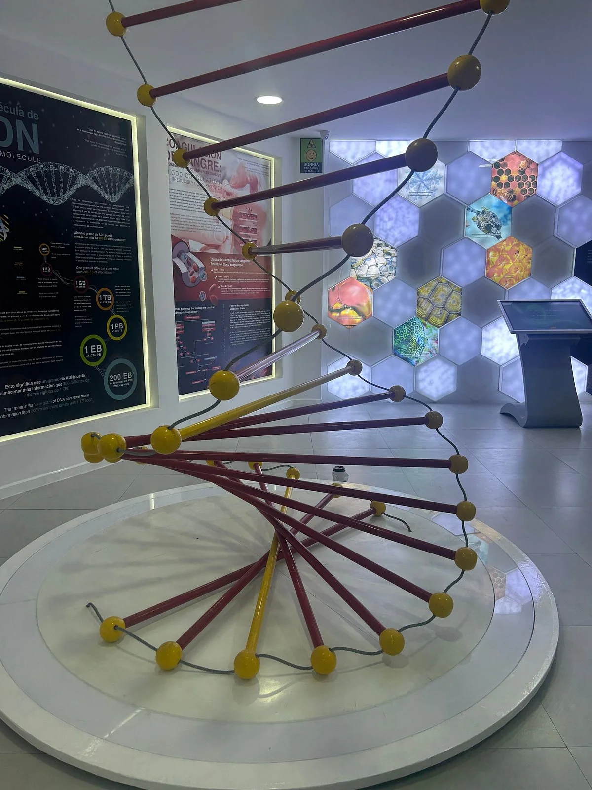 Origins - Museum Of Nature