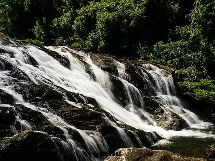 Khao Soi Dao Wildlife Sanctuary