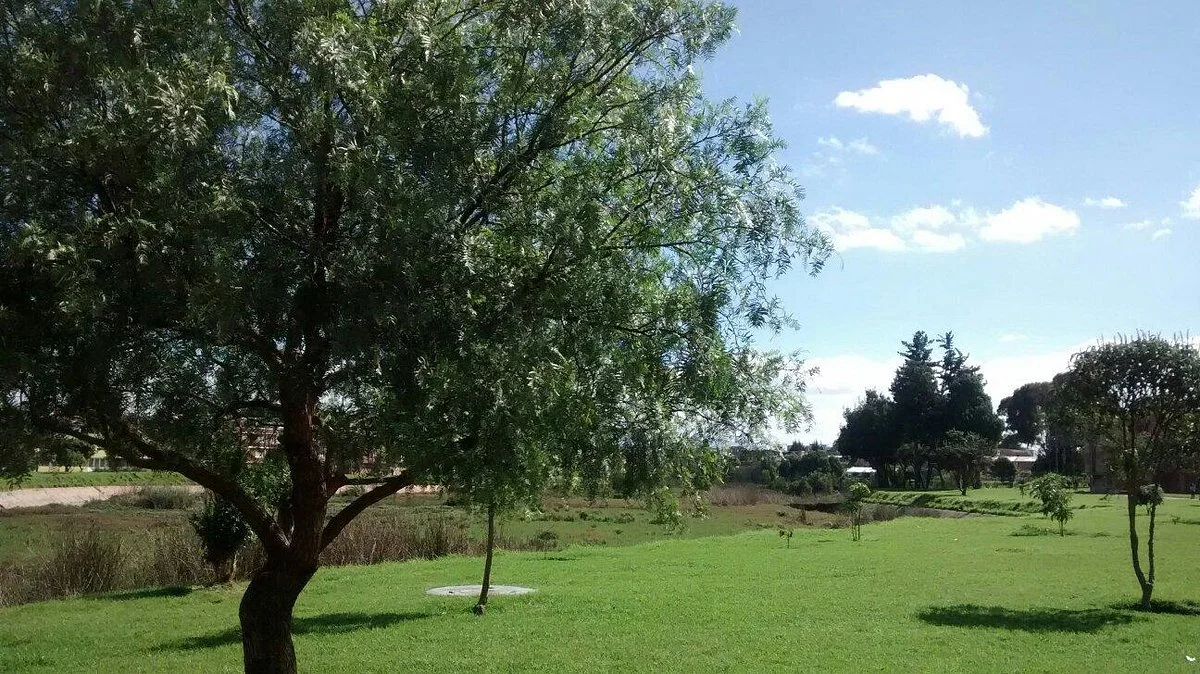 Humedal El Jaboque
