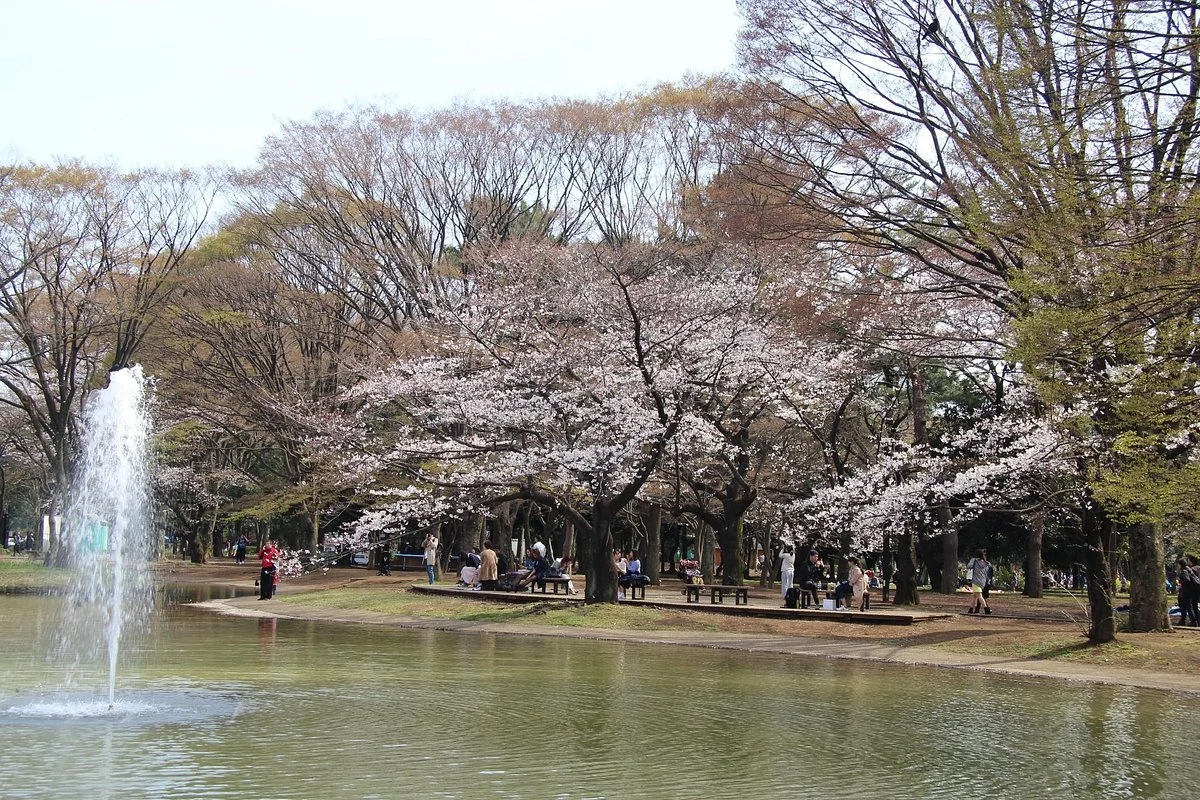 Yoyogi Park