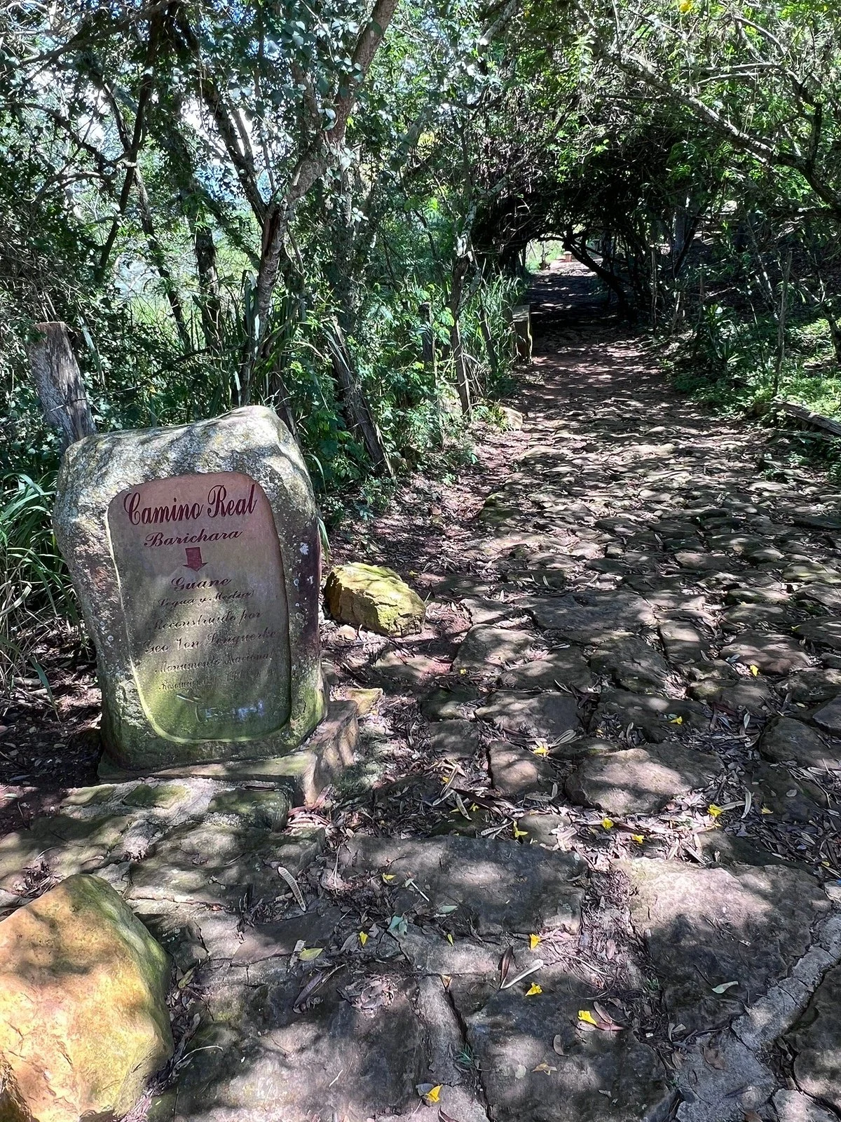 Ruta Camino De Los Guanes