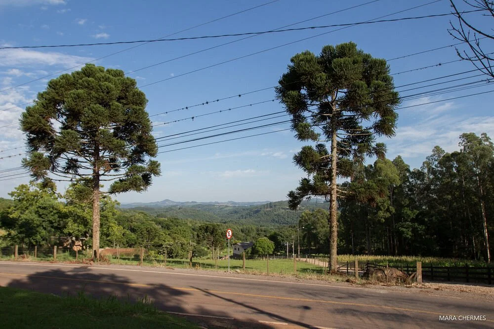 Capela Santo Isidoro