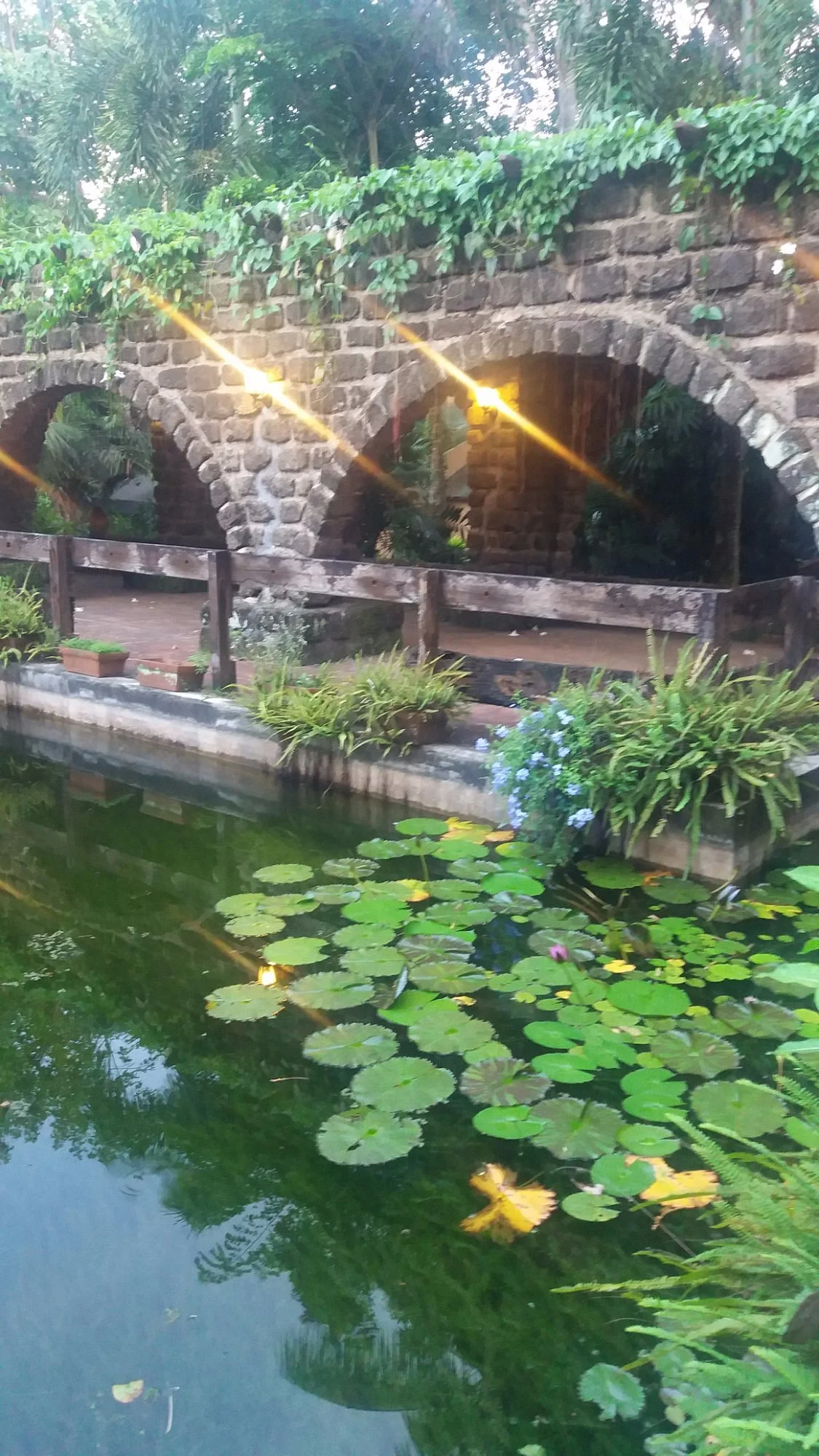 Jardin de Miramar