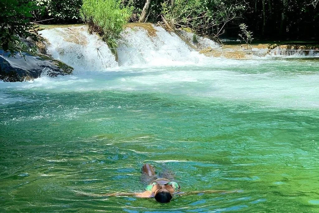 Bosque das Águas