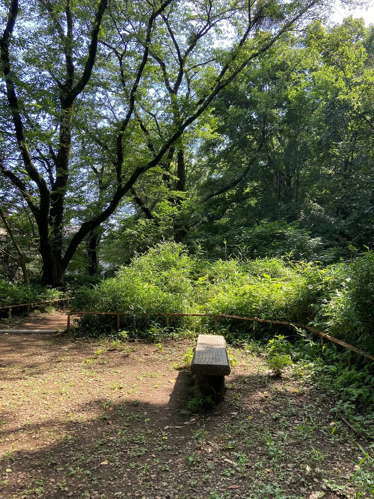 Kurokawaseiryu Park
