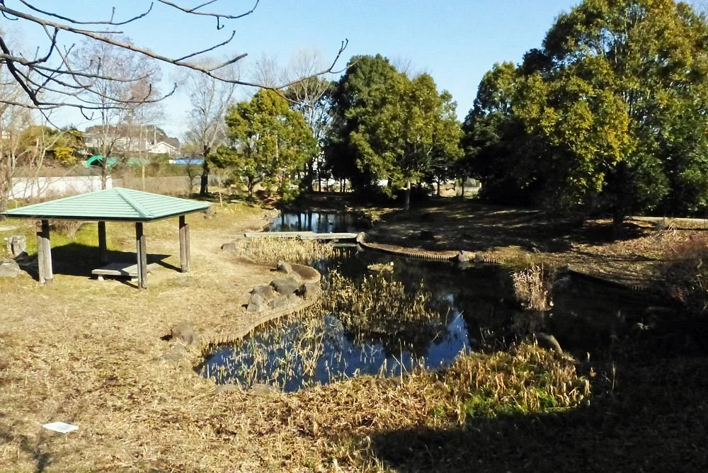 Kaname Shinsui Park