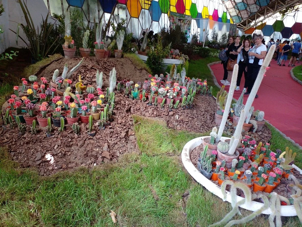 Fiesta Nacional De La Flor