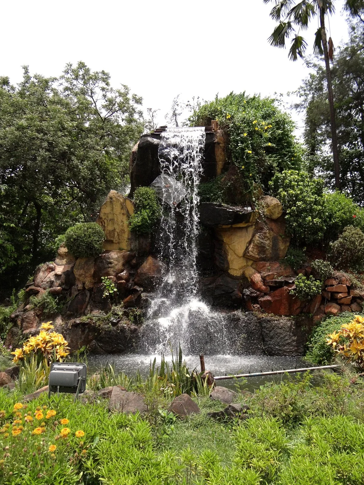 Hirwa Van Gardens