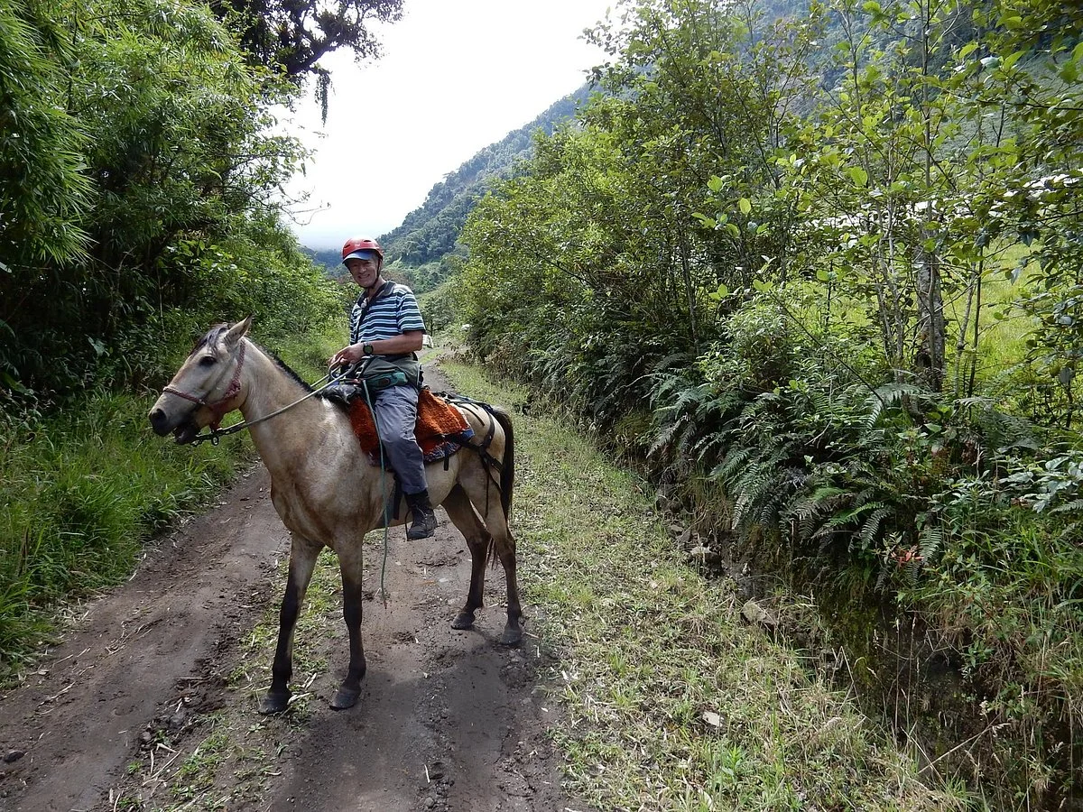 Isla de Banos Horse Riding