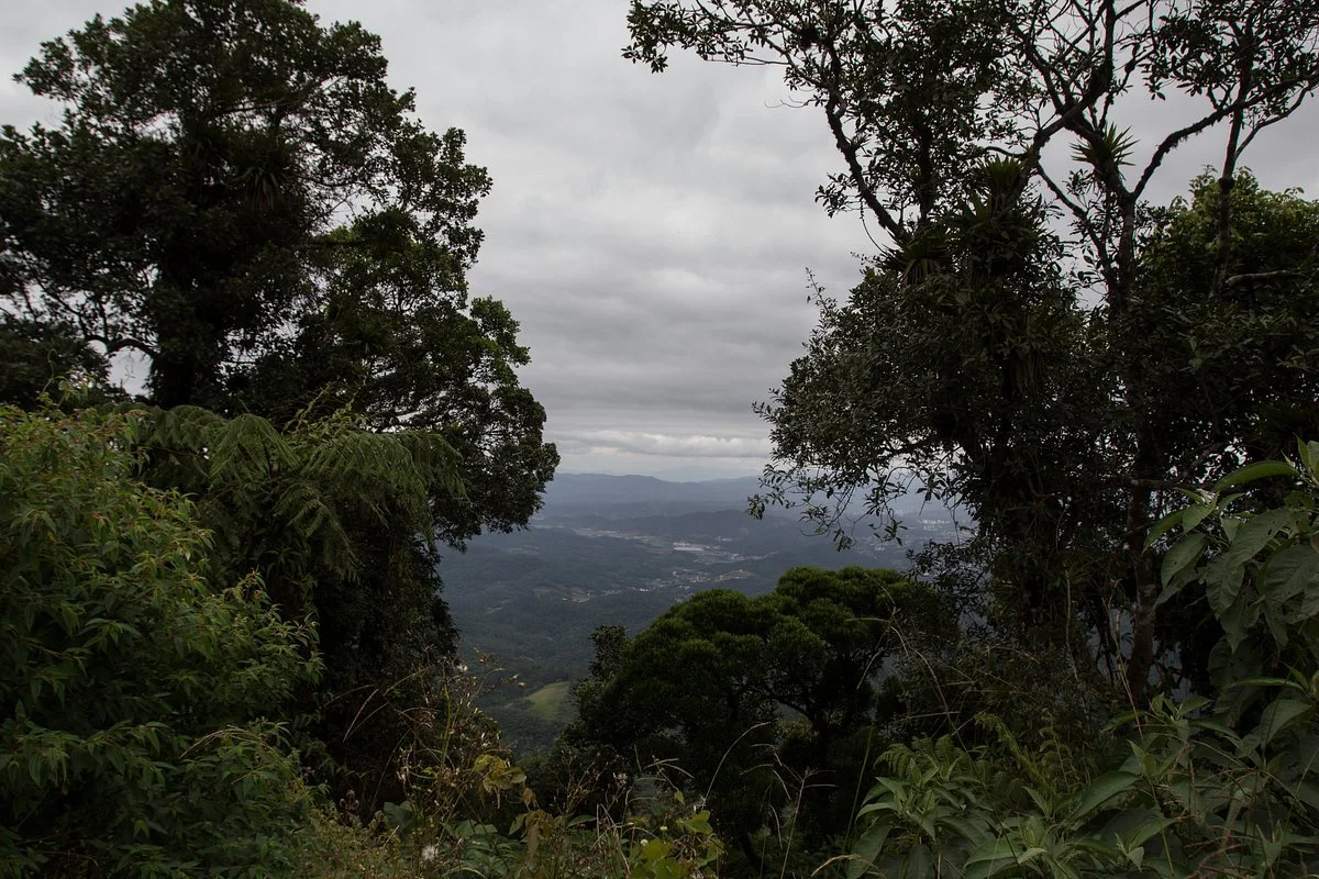 Morro Do Cachorro