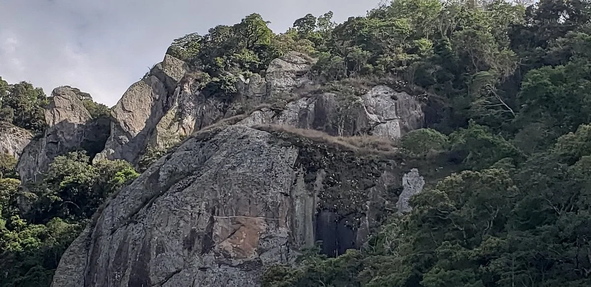Conexão Gonçalves