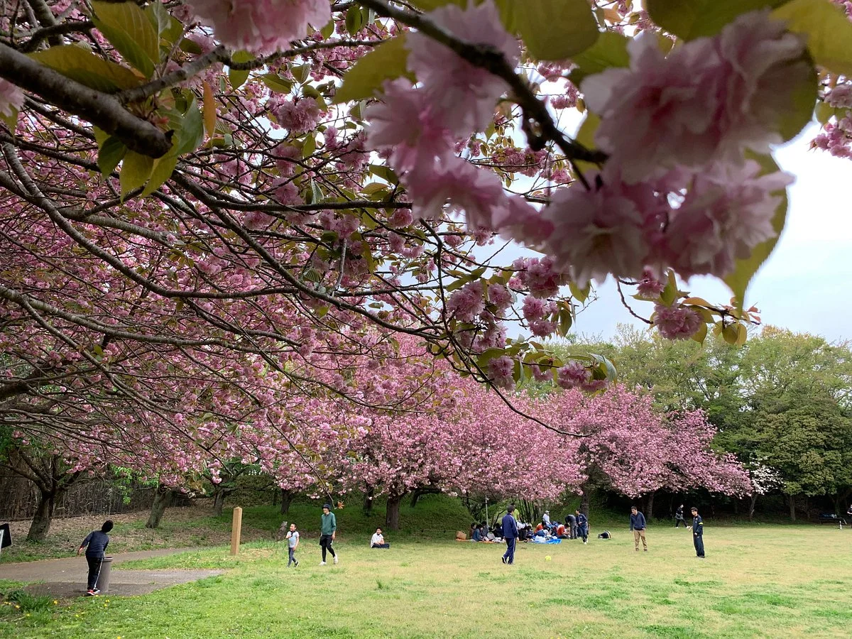 Chiba Inbanuma Park