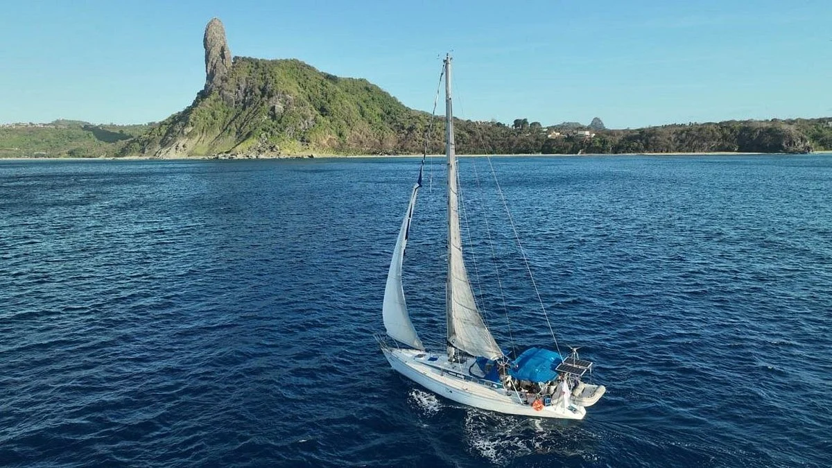 Sailing New Life