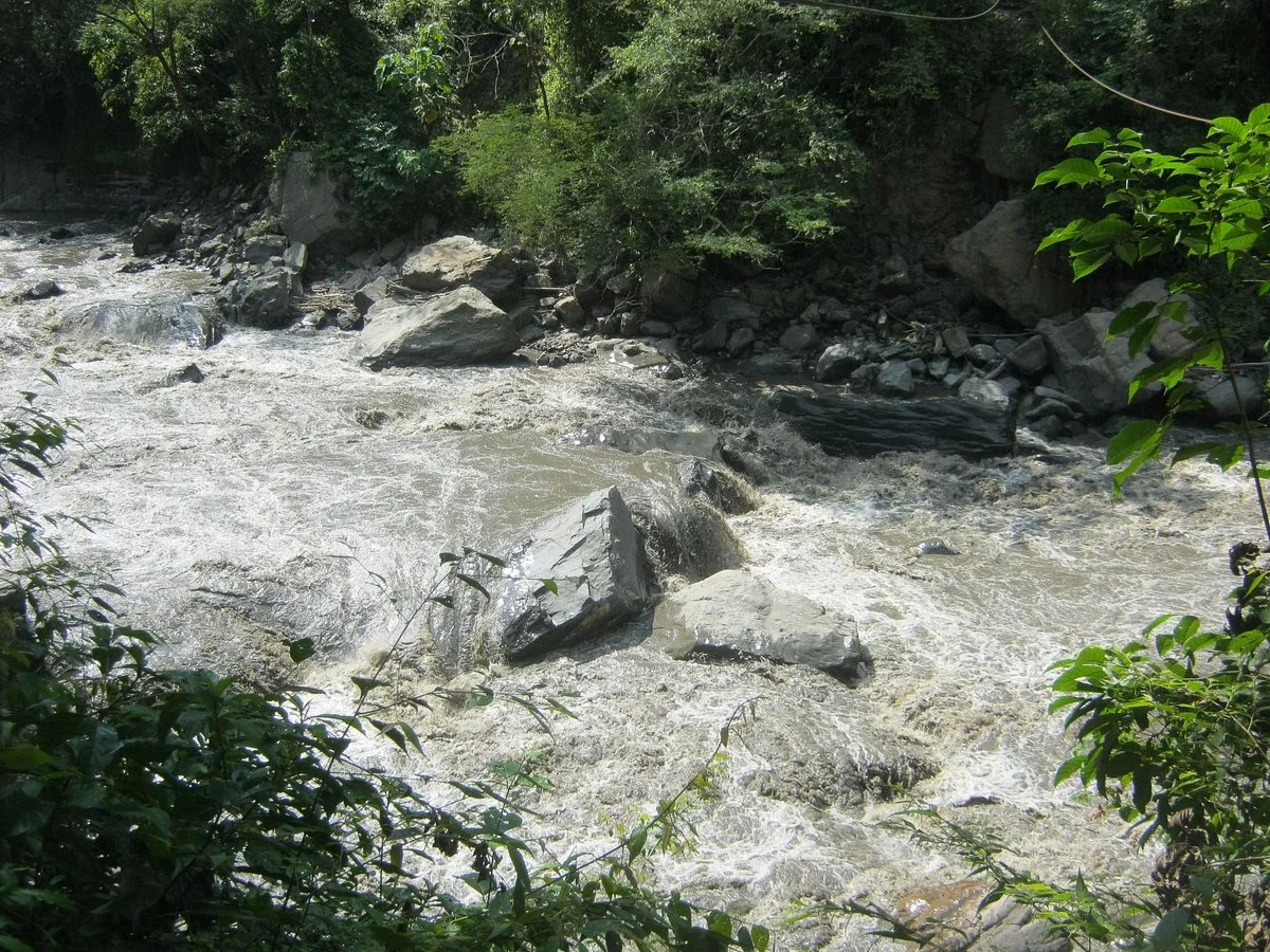 Dosis Verde