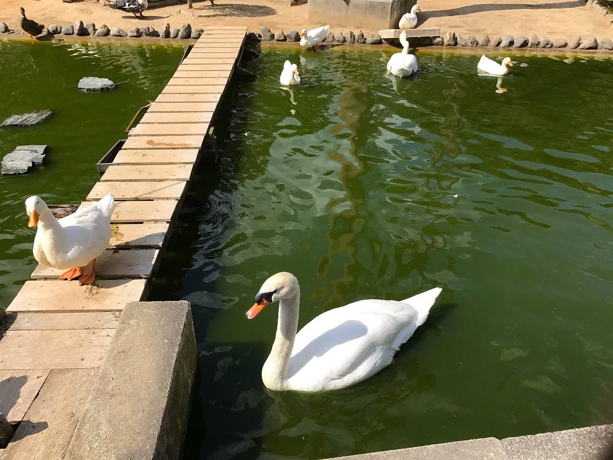 Wakayama City Zoo