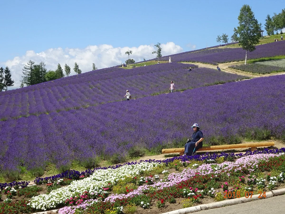 Saiko no sato Sasaki Farm