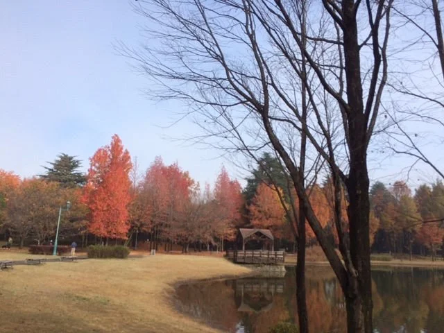 Sainomori Iruma Park
