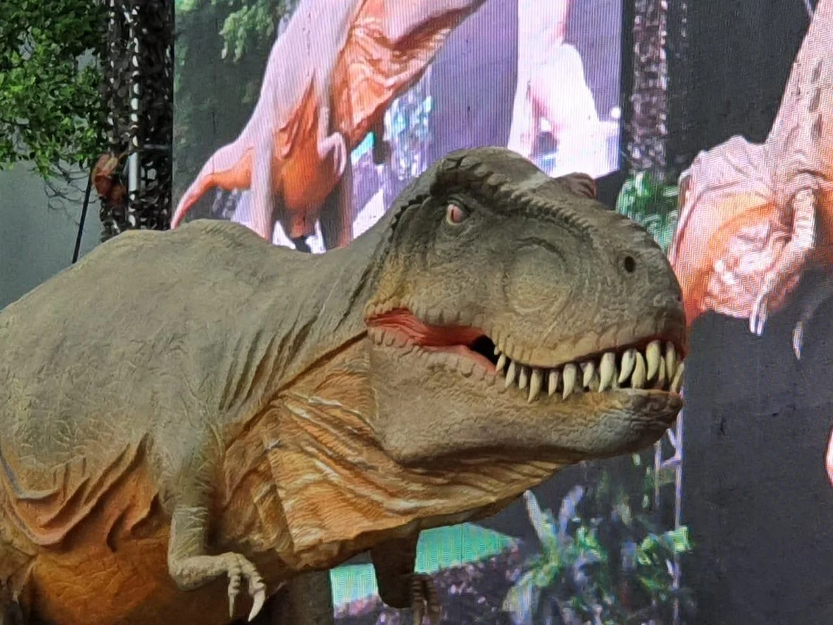 Jurassic Safari Brasil
