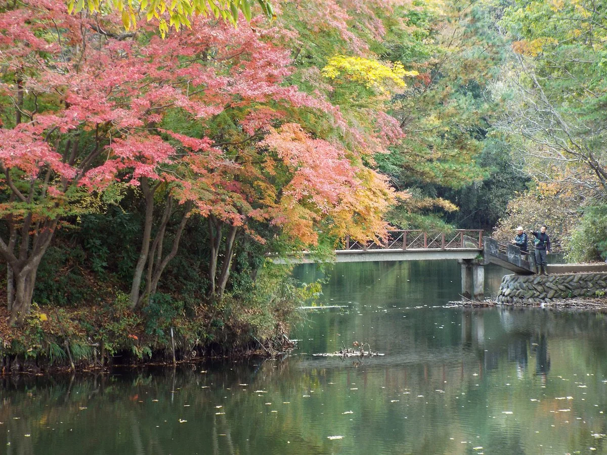 Lake Shinsei