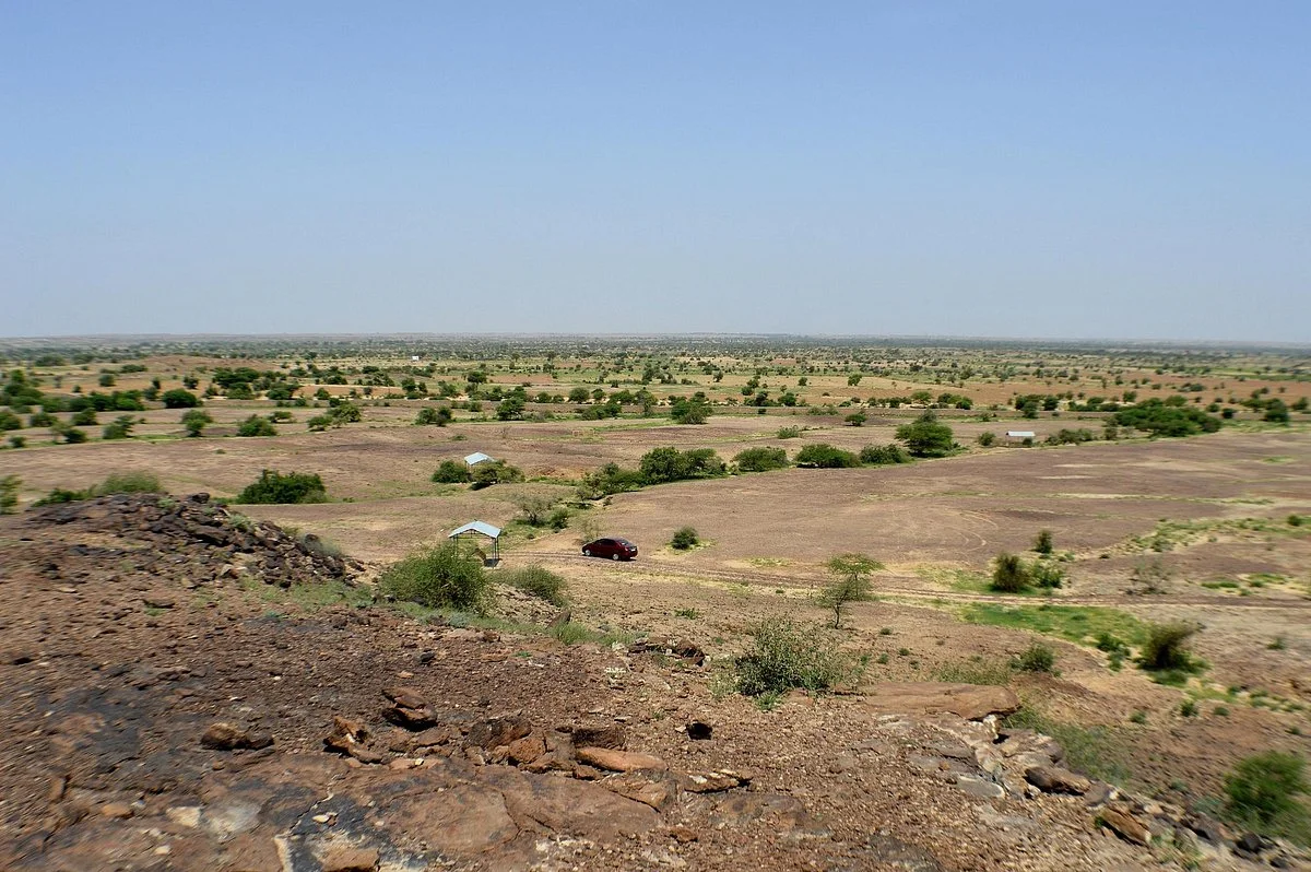 Akal Wood Fossil Park