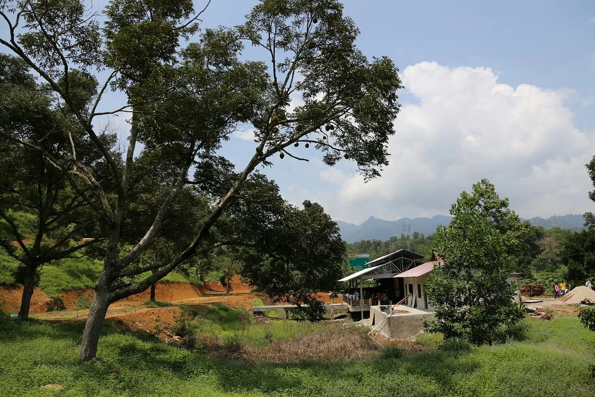 Jimmy's Durian Orchard