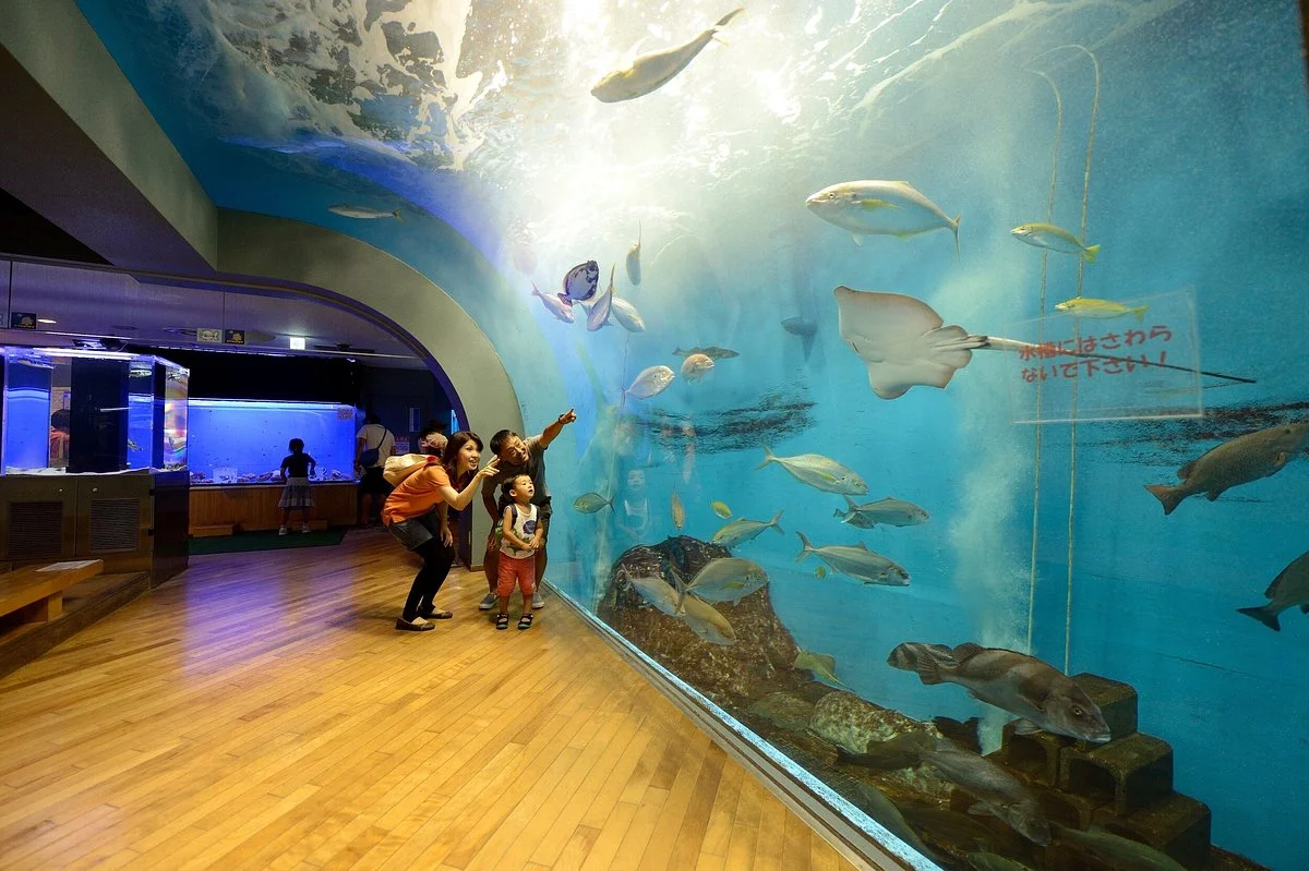 Wotto Hamanako Aquatic Experience Center