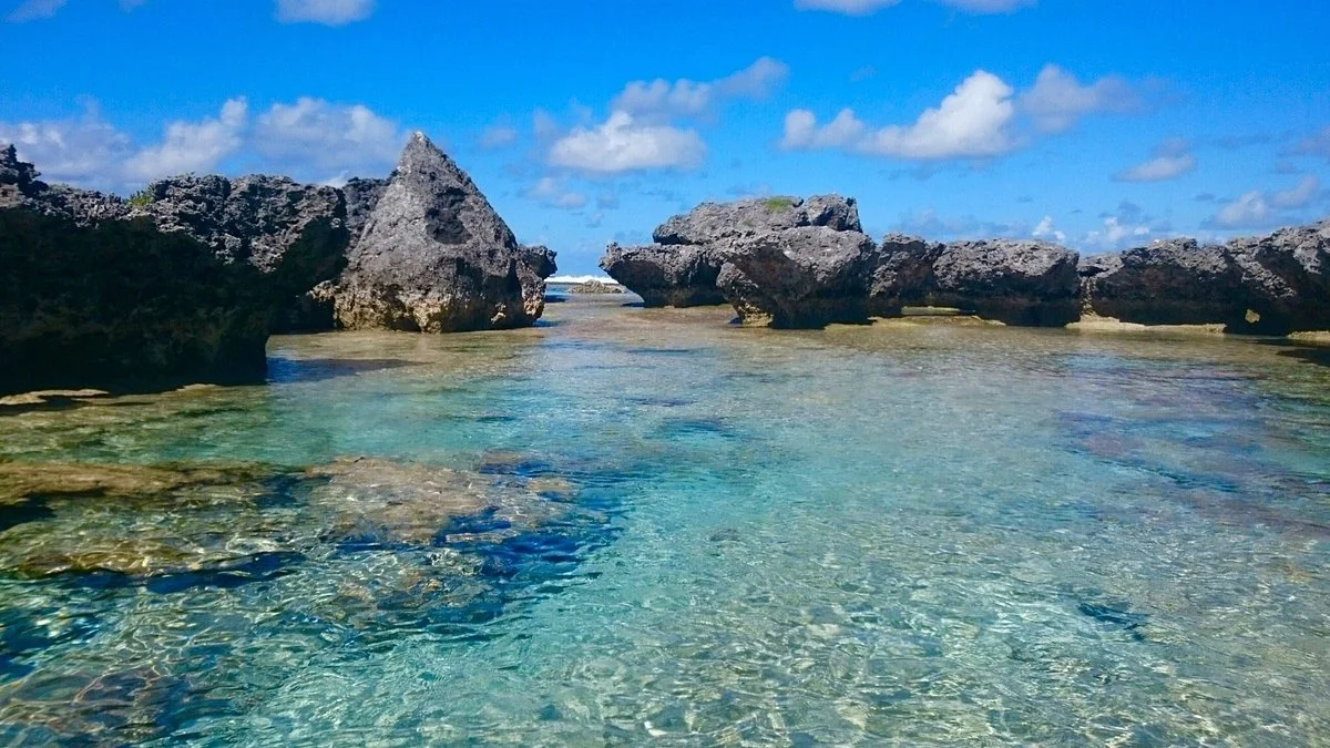 Piscine Naturelle