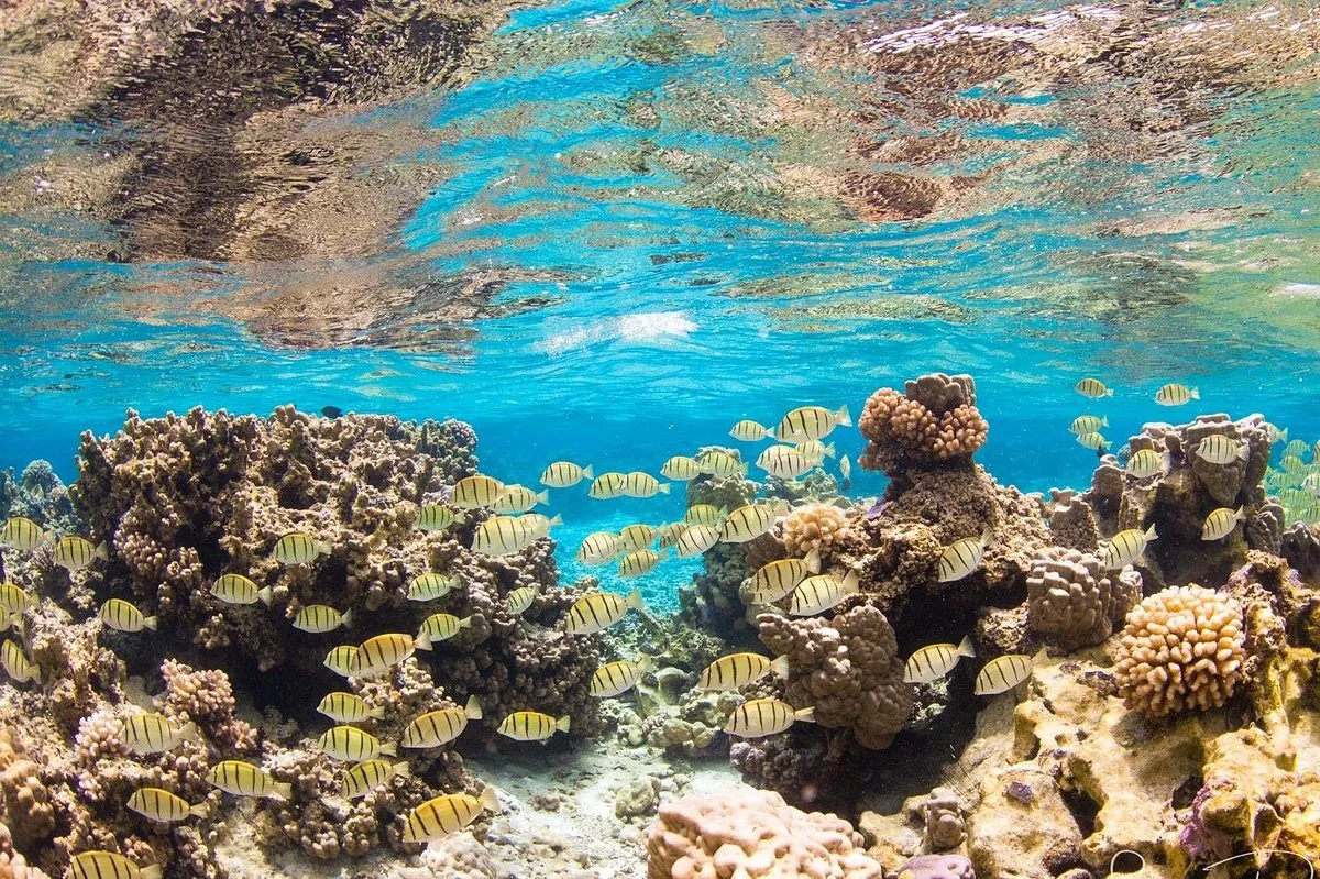BORA OCEAN ADVENTURES