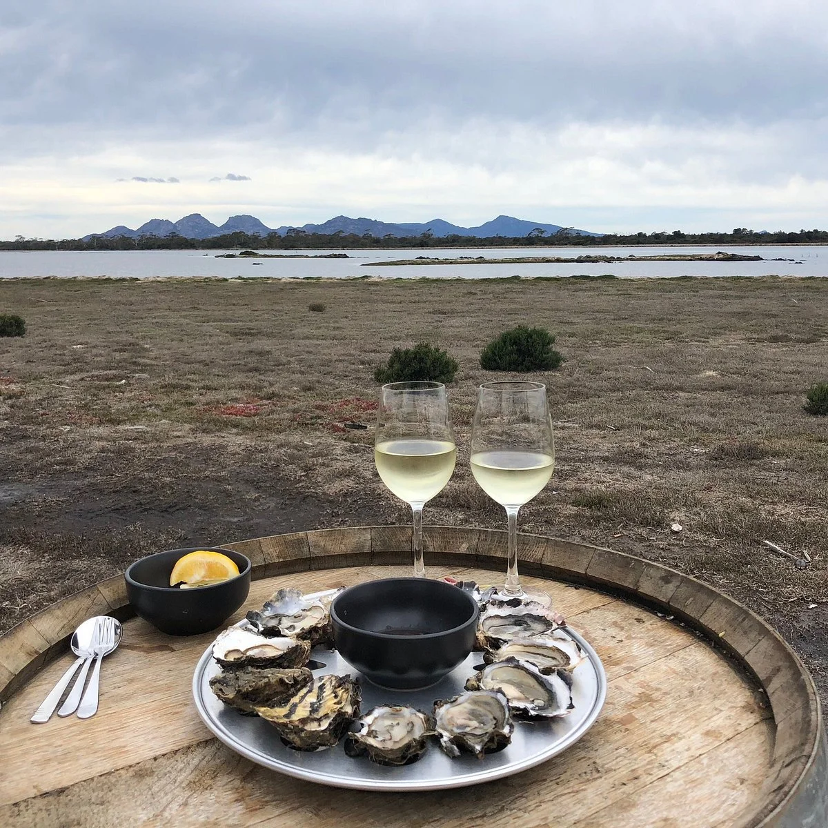 Oyster Bay Tours