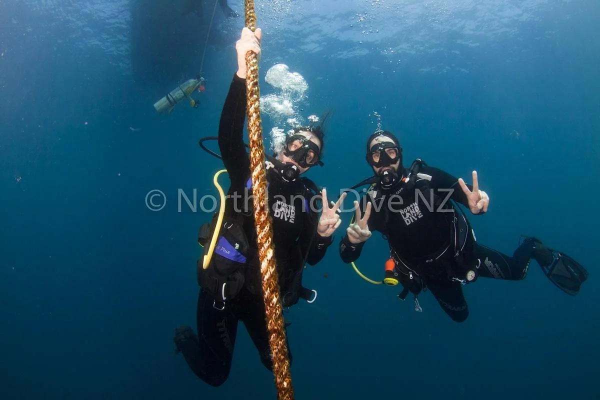 Northland Dive
