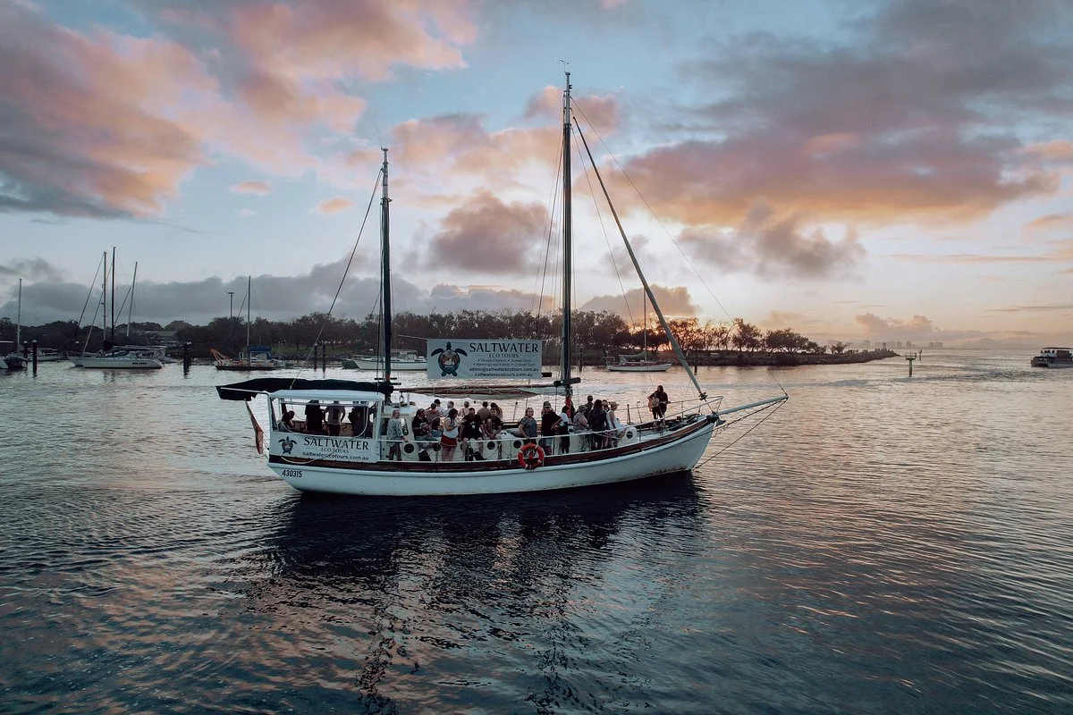 Saltwater Eco Tours