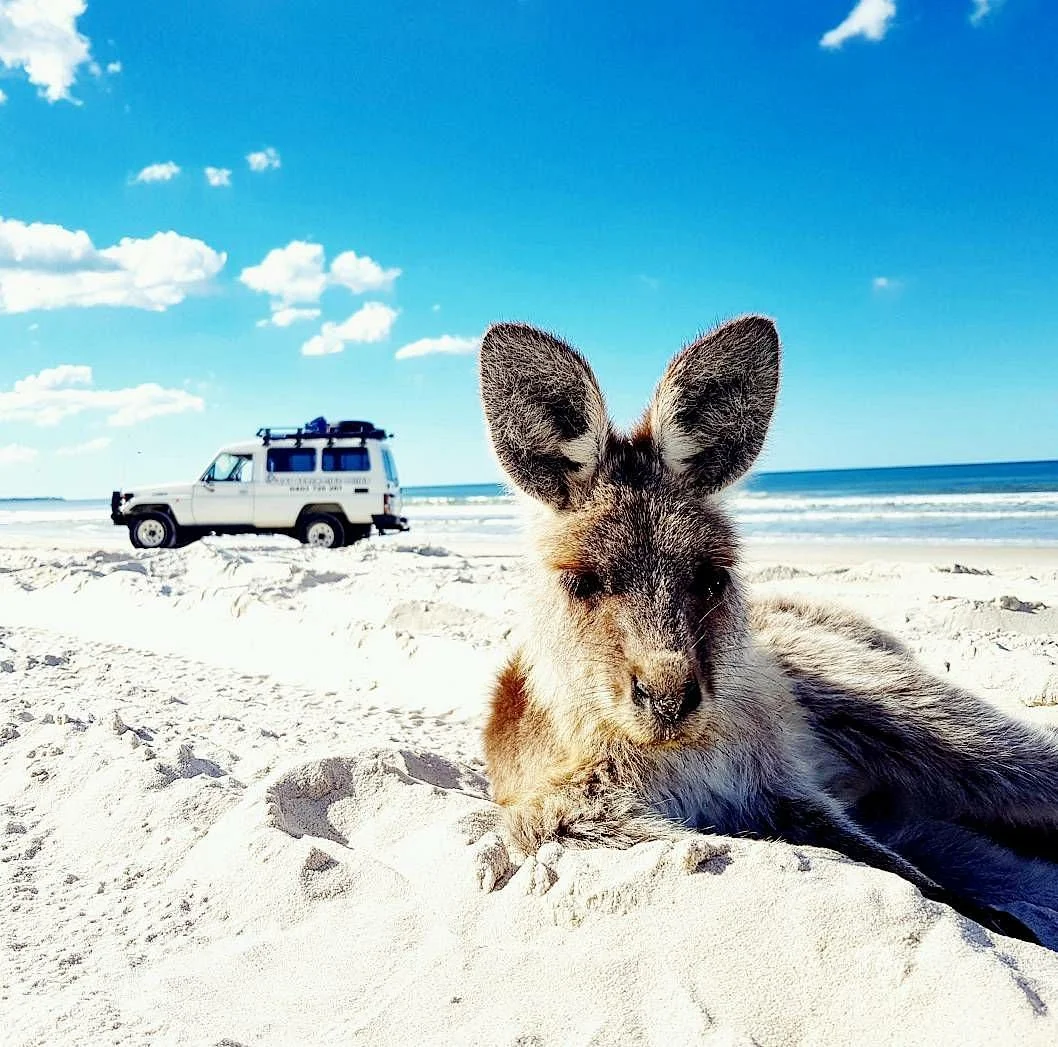 G'day Adventure Tours