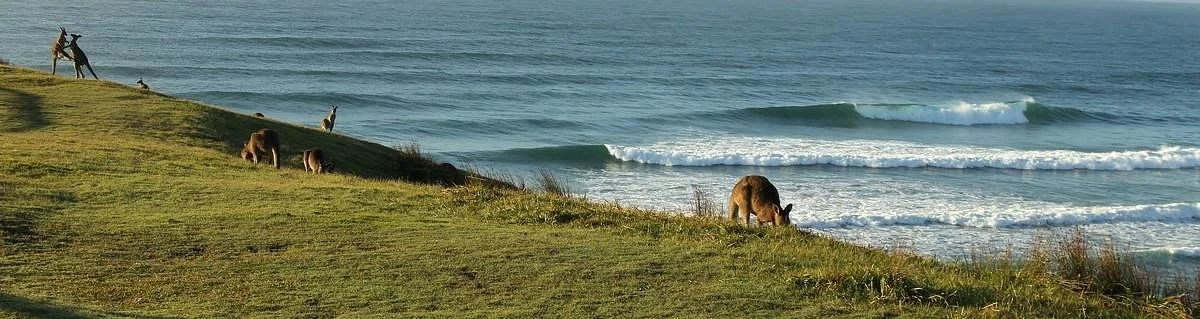 Australian Surfing Adventures