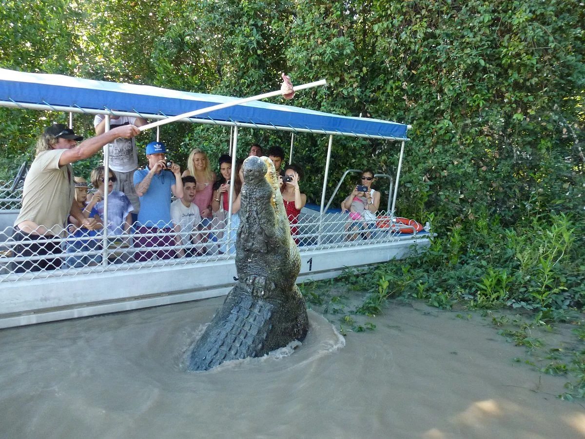 Adelaide River Cruises