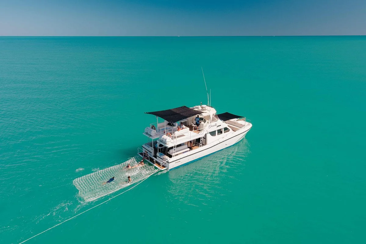 Broome Whale Watching
