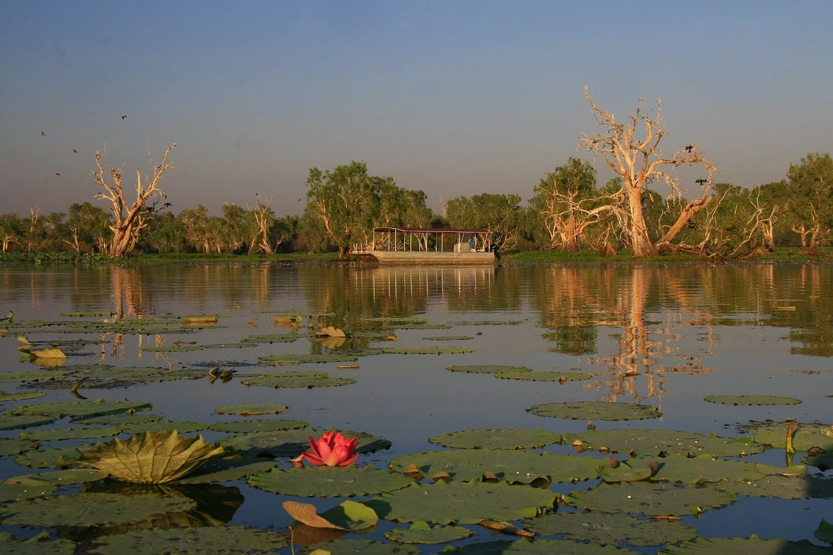 Wetland Cruises - Corroboree Billabong